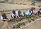 Escuela, Agricultura y Alimentación Ecológica. | Recurso educativo 677894