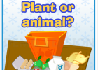 Plant or animal? - Food a fact of life | Recurso educativo 688385