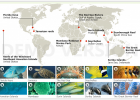 Coral reefs around the world | Recurso educativo 725506