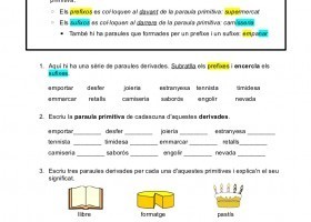Paraules primitives i paraules derivades | Recurso educativo 733185