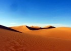 El desierto - Adaptaciones | Recurso educativo 744240