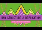 DNA Structure and Replication: Crash Course Biology | Recurso educativo 748662