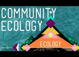 Community Ecology - Crash Course Ecology | Recurso educativo 749677