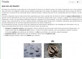 Els fòssils i el procés de fossilització | Recurso educativo 750310