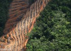 What is Deforestation? | Recurso educativo 751588