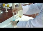 Técnicas básicas de laboratorio: preparación de disoluciones | Recurso educativo 751989