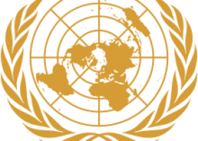 United Nations Millennium Declaration | Recurso educativo 753332