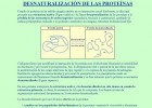Desnaturalización de las proteínas | Recurso educativo 755412
