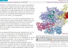 ARN polimerasa - Medicina molecular | Recurso educativo 756082
