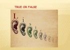 Listening Comprehension Tests - True-False SM | Recurso educativo 763655