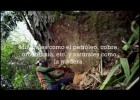 Salvem la selva amazònica | Recurso educativo 768127