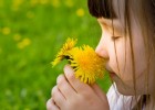 Nena que olora una flor | Recurso educativo 769372