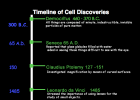 Timeline: cell discovery | Recurso educativo 677363