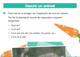 Descripció d'un animal | Recurso educativo 769471