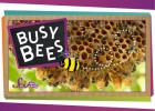 Bees | Recurso educativo 773700