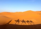 Sahara Desert Facts For Kids & Students: Pictures, Information & Video | Recurso educativo 775284