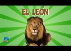 El rey de la selva, el león | Recurso educativo 782248