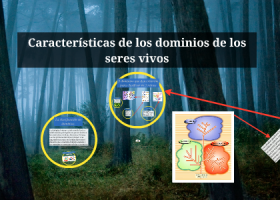 Características de los dominios de los seres vivos | Recurso educativo 783745