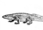 Origen y evolución de los reptiles y dinosaurios | Recurso educativo 788414