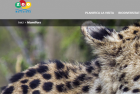 Zoo Barcelona | Recurso educativo 788415